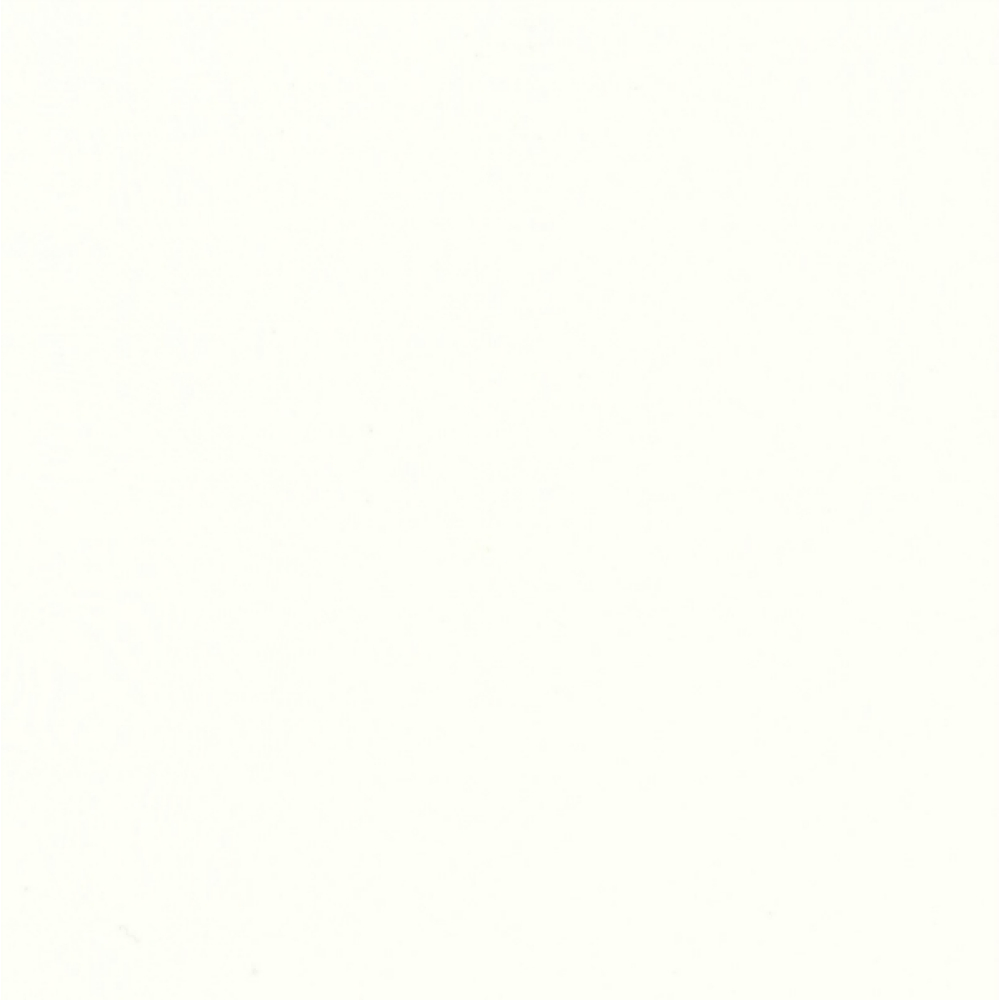 1982 Білий Полярний (Senosan HighGloss)